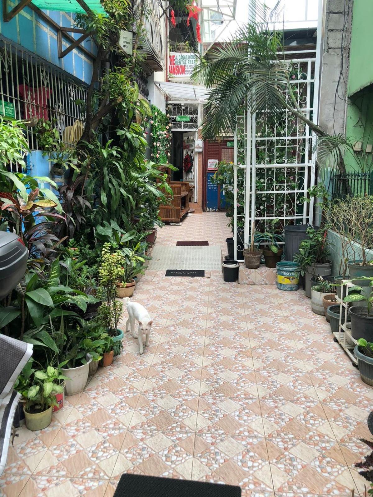 The Mansion: 18 Pax Budget Near Airport Terminal Pasay Manila